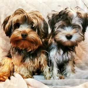 Meet your Posher, Erica